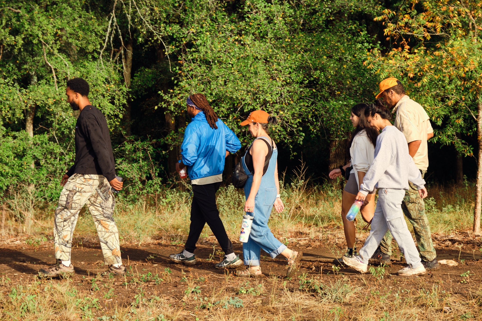 Brain Bioenergetics and Cognitive Health: How Creatine, Vitamin B12, and Taurine Fit the Picture