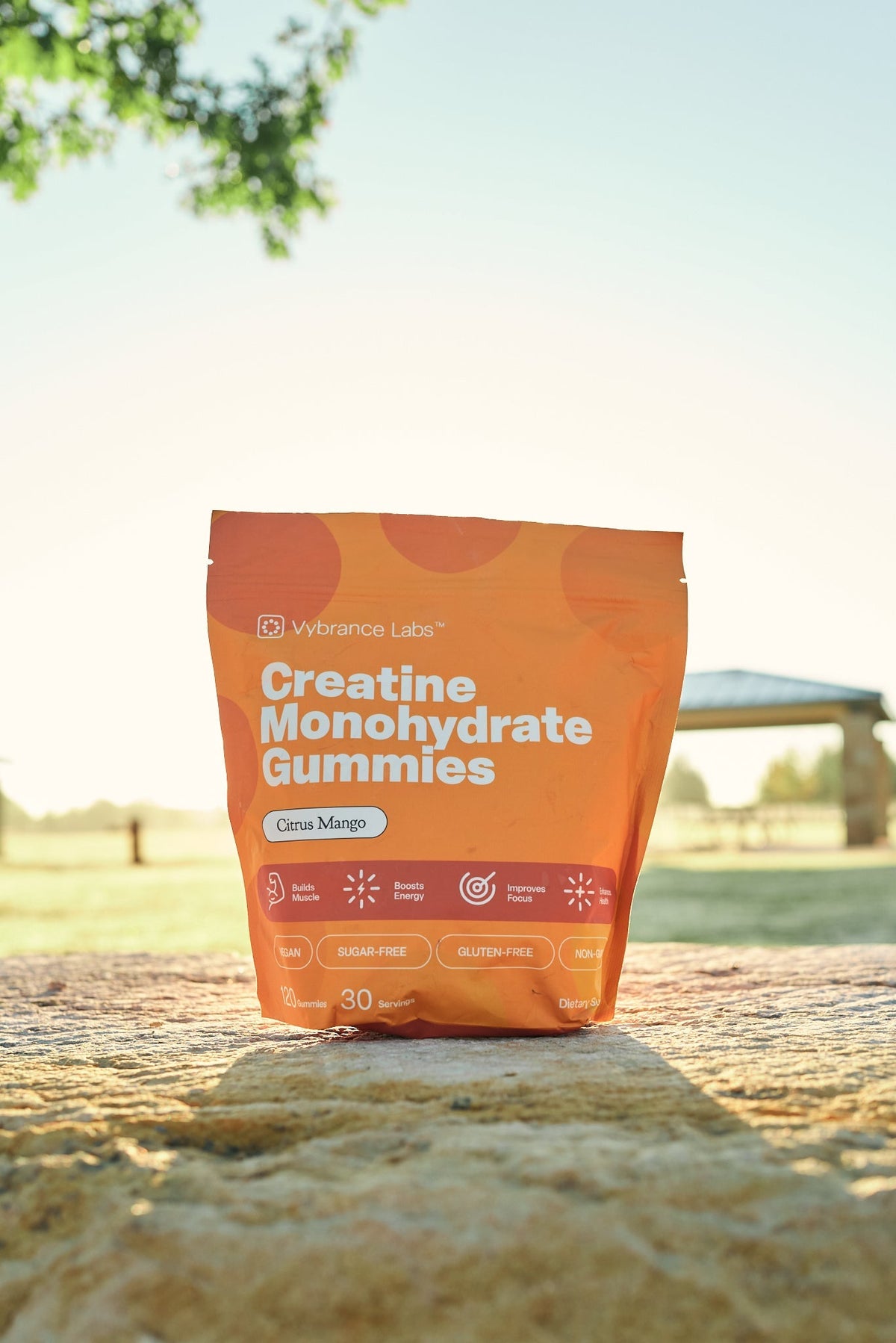 A pouch of Vybrance Labs Citrus Mango Creatine Monohydrate Gummies on a stone ledge at an outdoor park