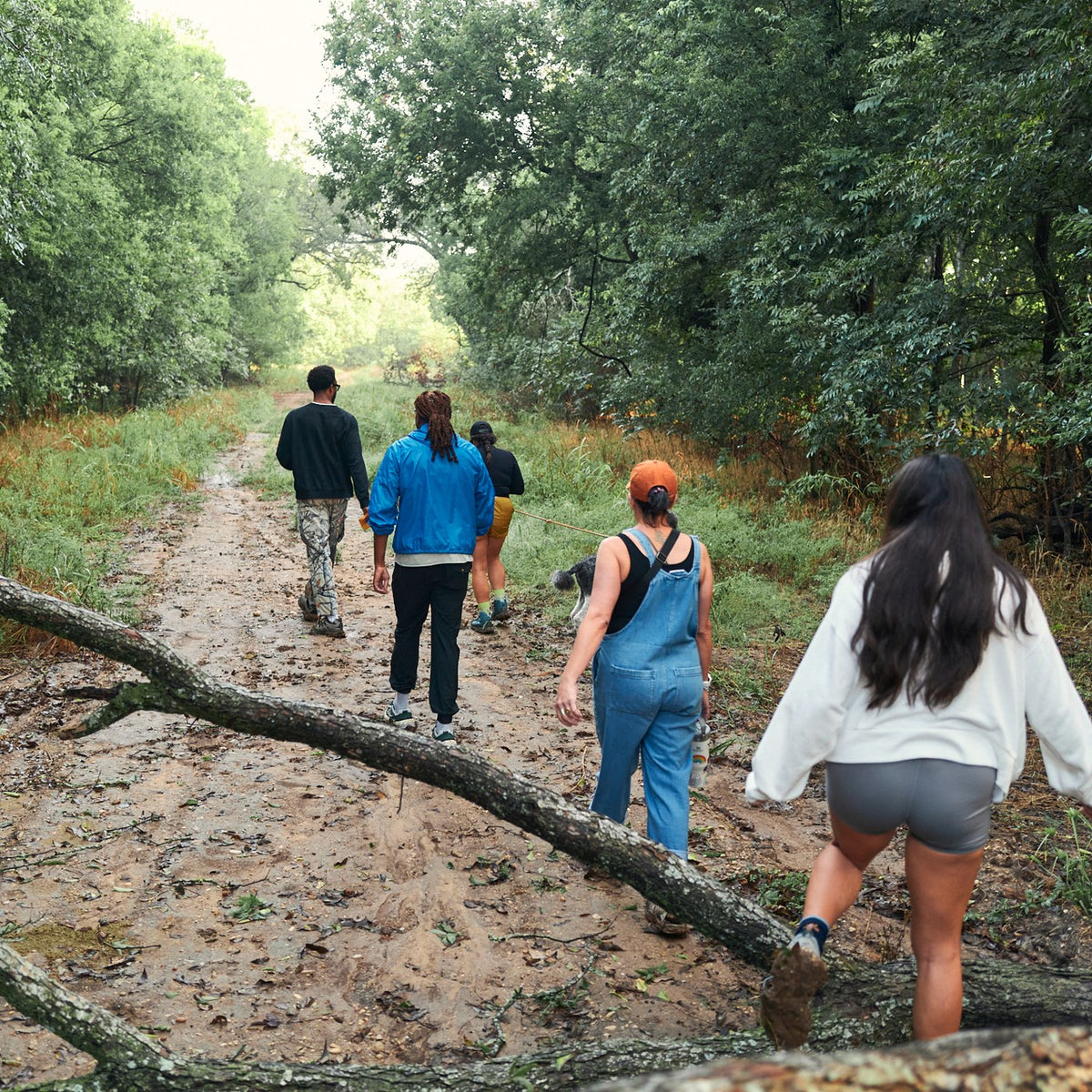 Stepping over a fallen tree on the trail
